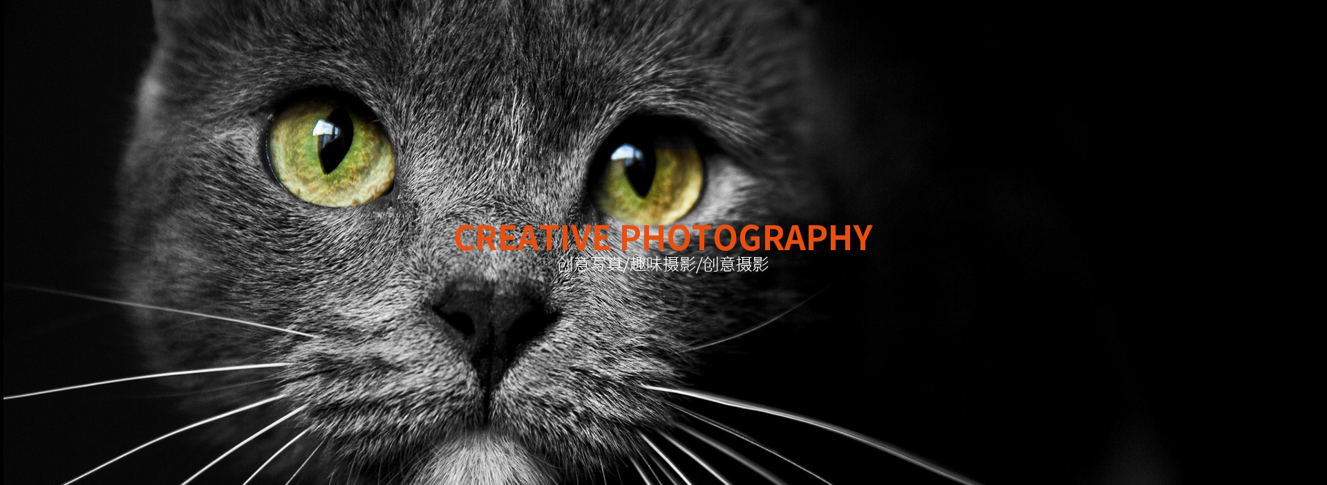 正规买球app本地小众摄影向导体验展示