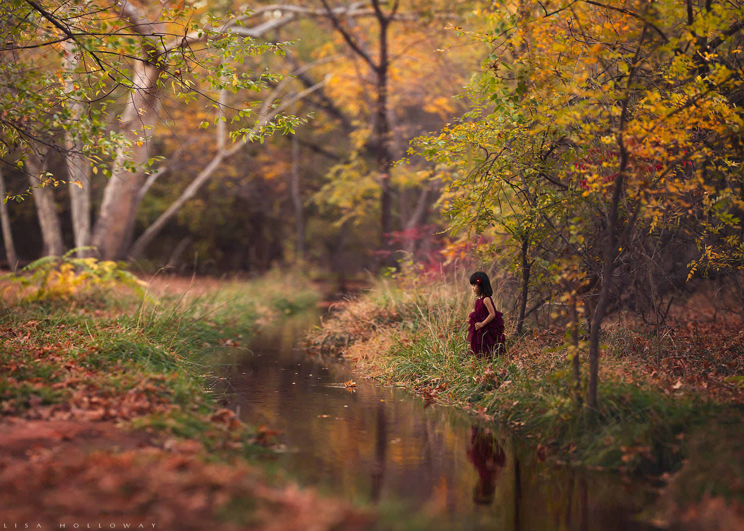 人民的力量_资讯频道_凤凰网(图1)